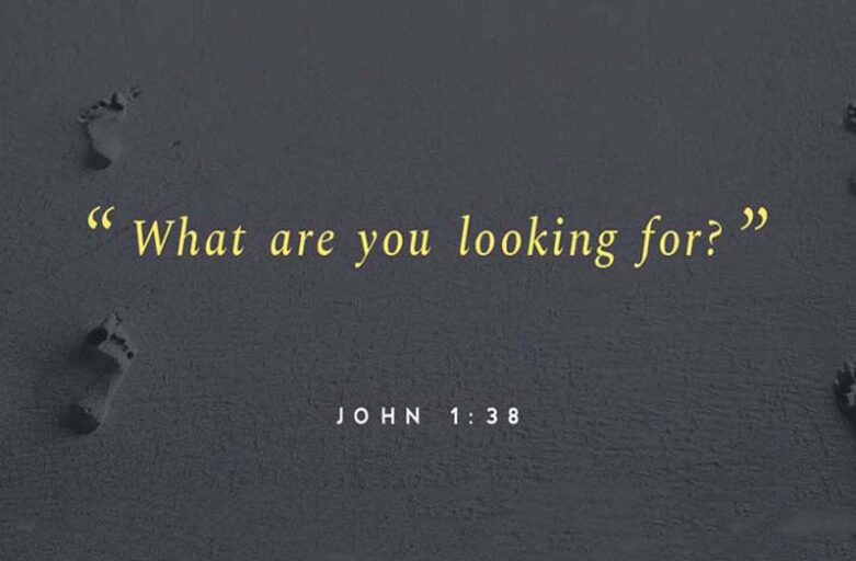 What are you seeking?
